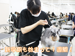 ☆１年生のトリミング実習☆